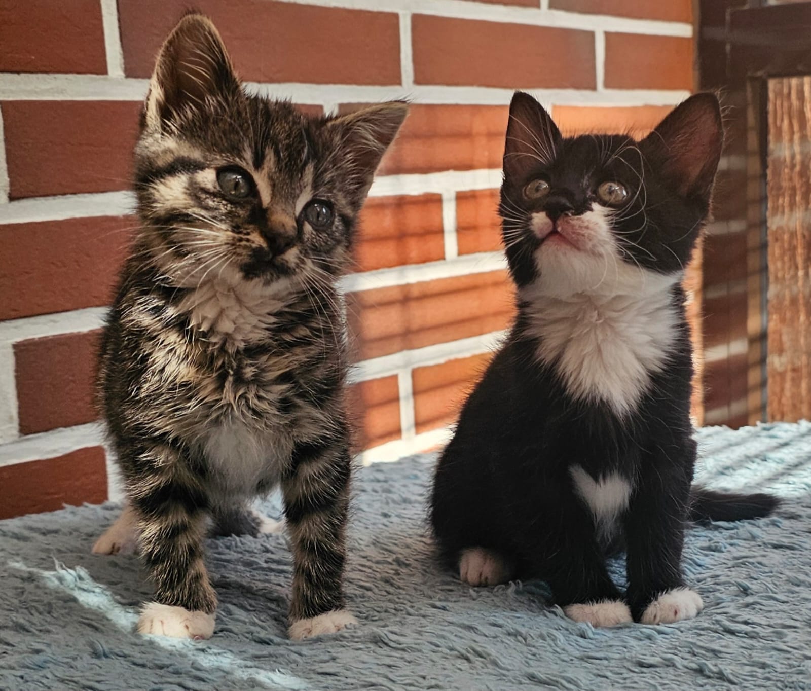 Image Kari & Flora 🐾